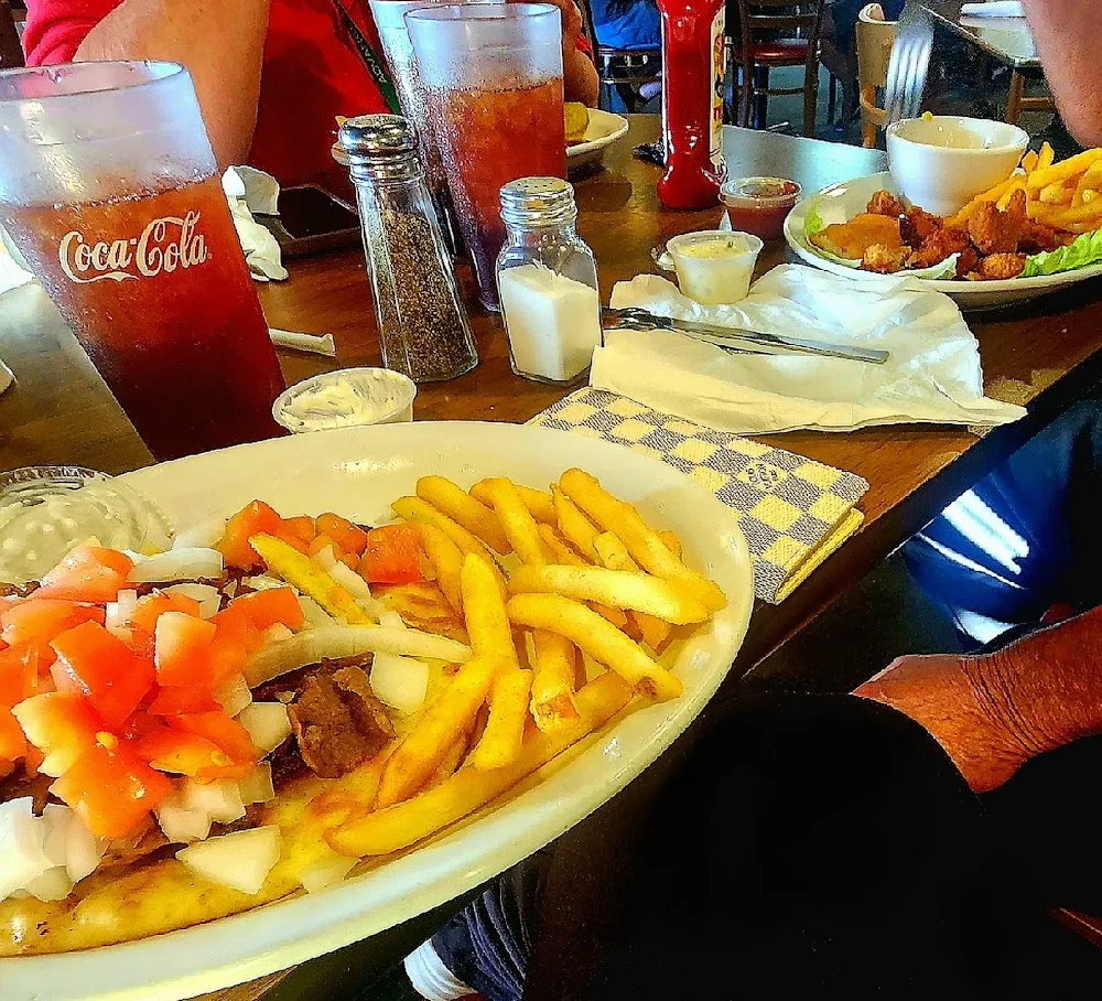 Gyro Dinner